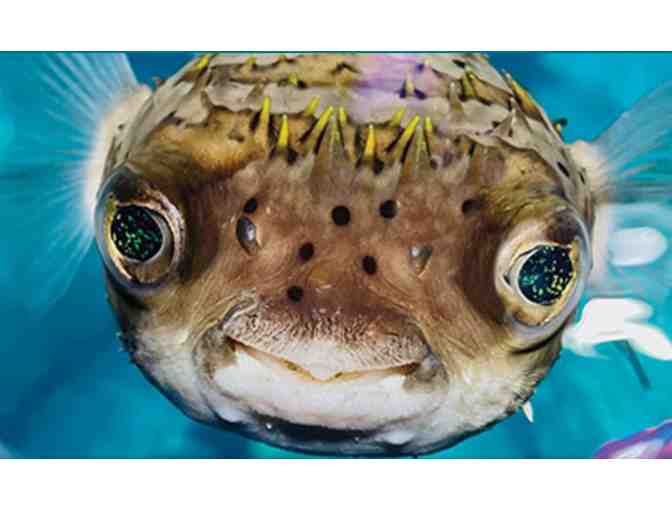 Mississippi Aquarium-Gulfport, MS - Photo 1