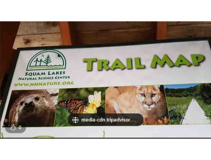 Squam Lakes Natural Science Center - Holderness, NH - Photo 1