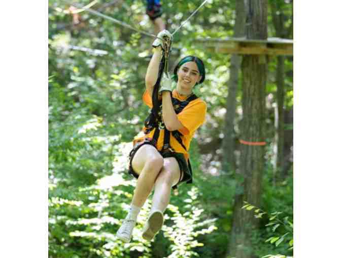 Treescape Aerial Adventure Park - Vernon, NJ - Photo 4