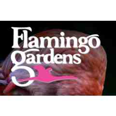 Flamingo Gardens