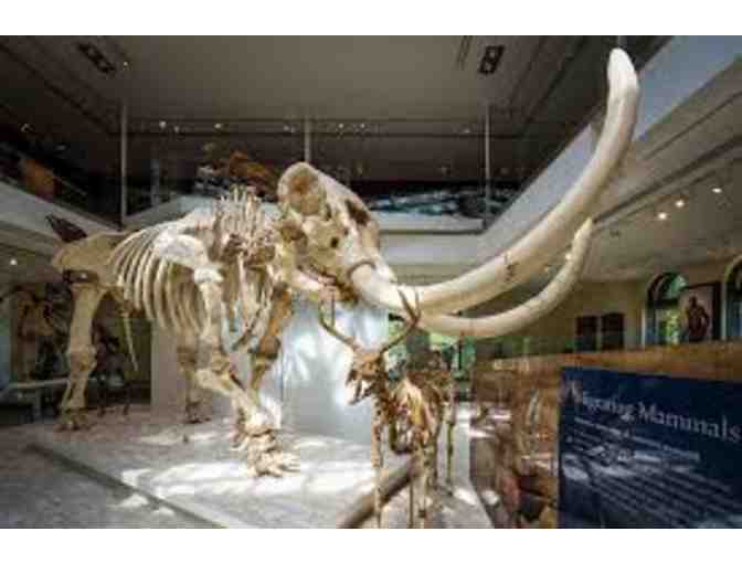 Natural History Museum or the Museum at La Brea Tar Pits - Los Angeles, CA