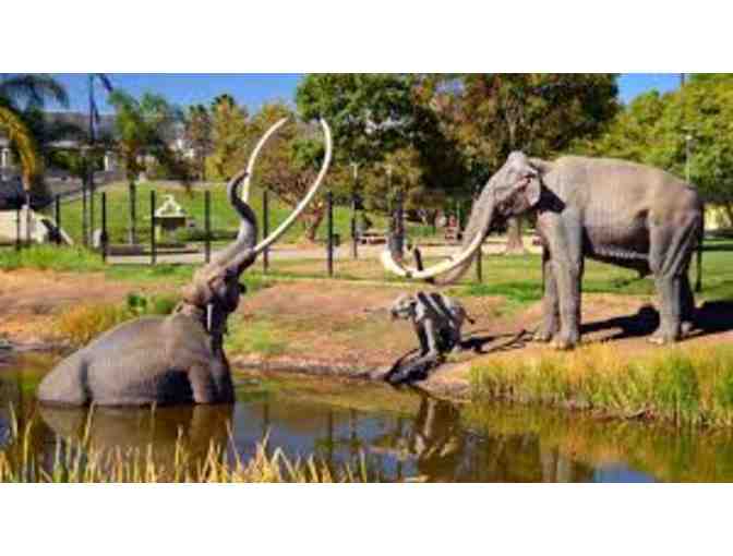 Natural History Museum or the Museum at La Brea Tar Pits - Los Angeles, CA - Photo 6