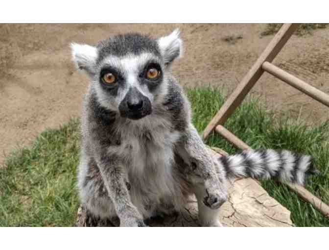 Santa Ana Zoo - Santa Ana, CA