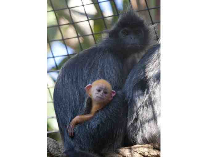 Santa Ana Zoo - Santa Ana, CA - Photo 6