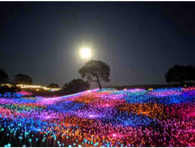 Bruce Munro: Light at Sensorio - Paso Robles, CA - Photo 1