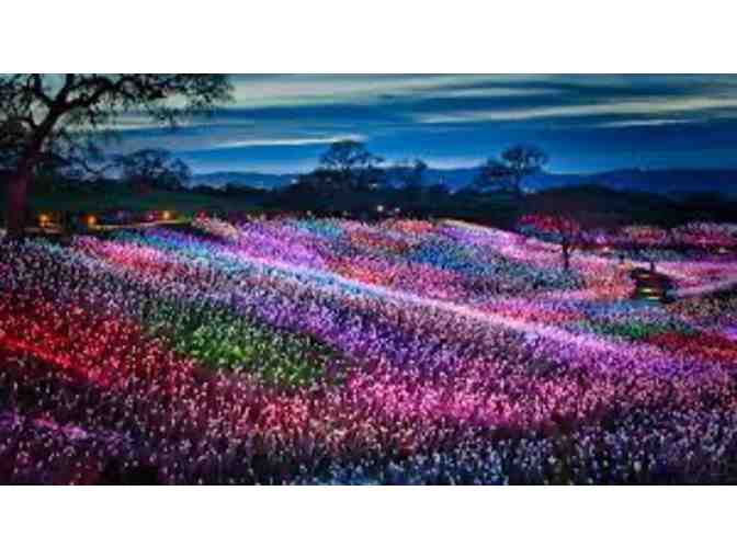 Bruce Munro: Light at Sensorio - Paso Robles, CA - Photo 2