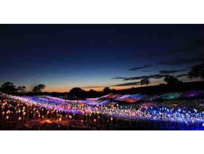 Bruce Munro: Light at Sensorio - Paso Robles, CA - Photo 3