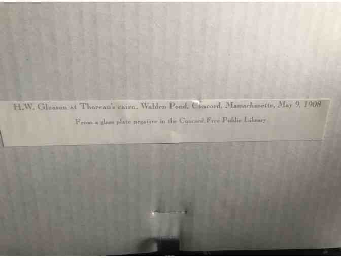 H.W. Gleason at Thoreau's cairn, Walden Pond, May 19, 1908, Poster from Glass Negative