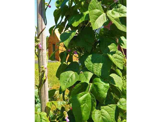Cabin Inspired by Henry David Thoreau, Built by Thorough Homes