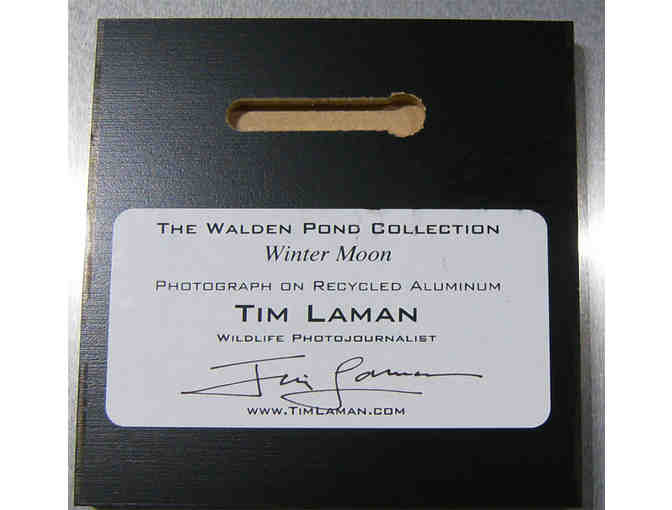 'Winter Moon' Photograph on Metal by Photographer Tim Laman