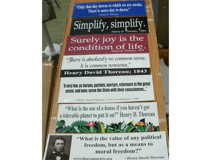 14 Thoreau Quote Bumper Stickers