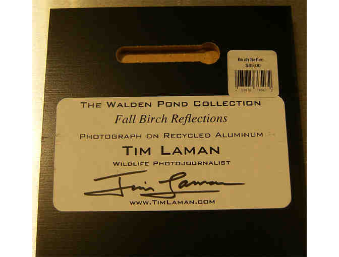 'Fall Birch Reflections' Photograph on Metal by Photographer Tim Laman (copy 2)