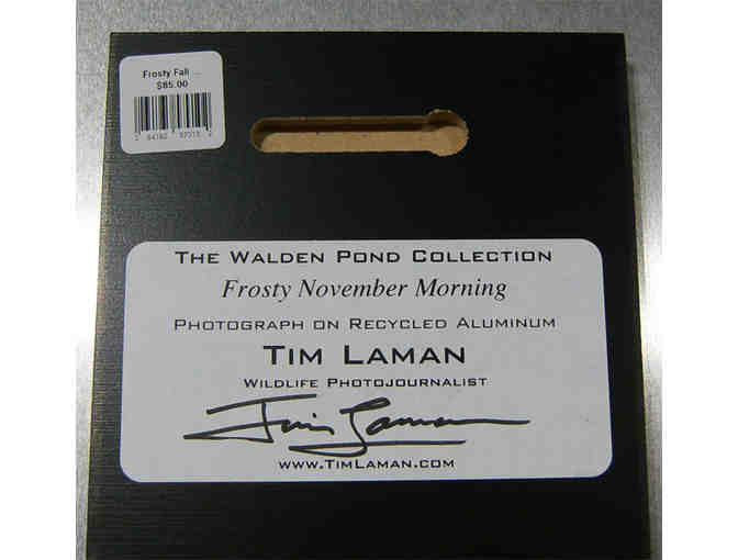 'Frosty November Morning' Photograph on Metal by Photographer Tim Laman (copy 2)