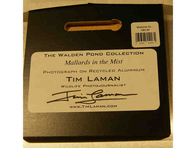 'Mallards in the Mist' Photograph on Metal by Photographer Tim Laman (copy 3)