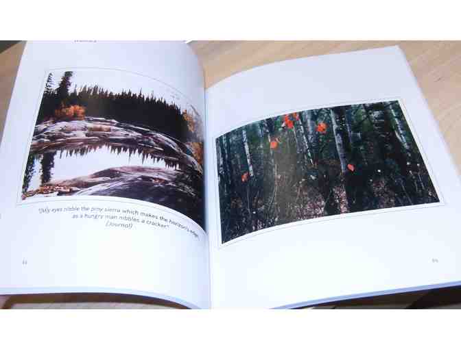 Sauntering, Thoreau-Style, by Victor Carl Friesen (2020)