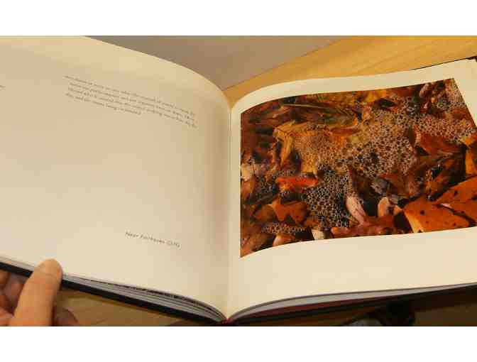 Illuminated Walden - Photographs by John Wawrzonek, Edited by Ronald A. Bosco (SIGNED)