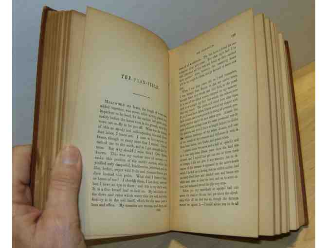 Walden, by Henry David Thoreau (Houghton, Osgood and Company, 1880)