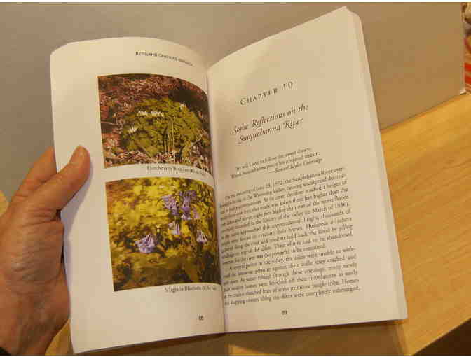 Penn's Woods: A Romantic View, by Bernard Charles Barnick