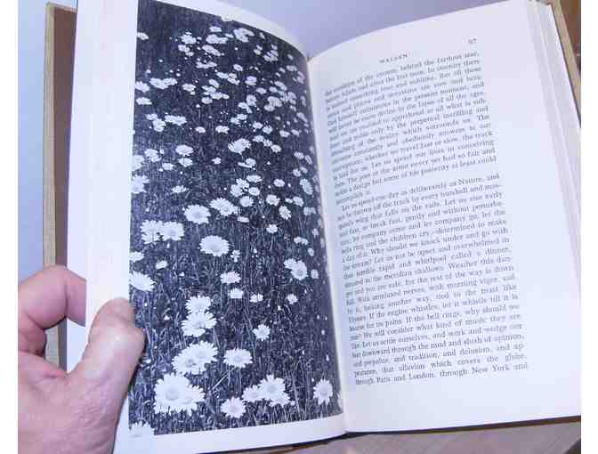 Illustrated Walden with photographs from the Gleason Collection (Princeton, 1973)