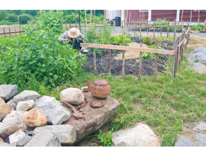 Thoreau Farm's Seed Kit: 19th Century Kitchen Garden at Thoreau's Birthplace - Photo 1
