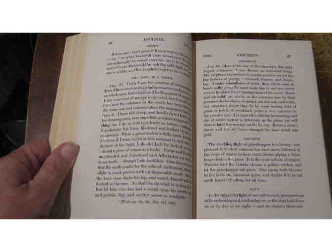 14-volume set of Henry David Thoreau's Journal, foreword by Henry S. Canby, 1949