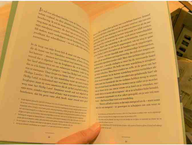 Thoreau: Wandelen: Op zoek naar de verloren natuur (In Dutch: Thoreau bio plus 'Walking')