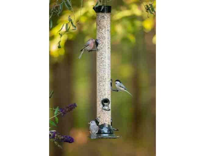 Droll Yankee Clever Bird Feeder - Photo 1