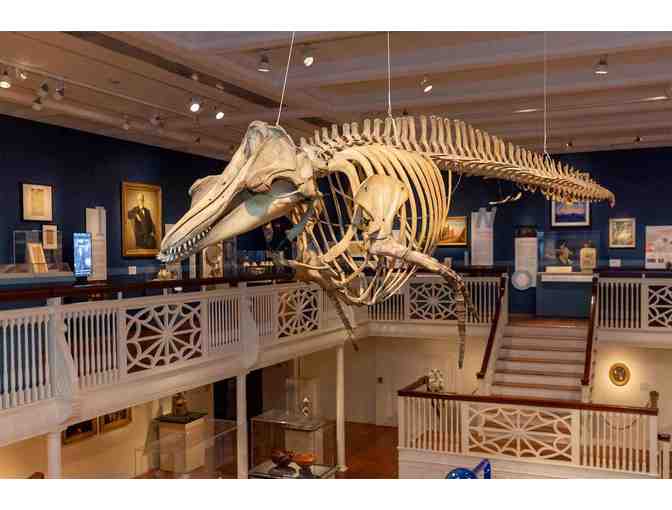 Four (4) Passes to the Peabody Essex Museum