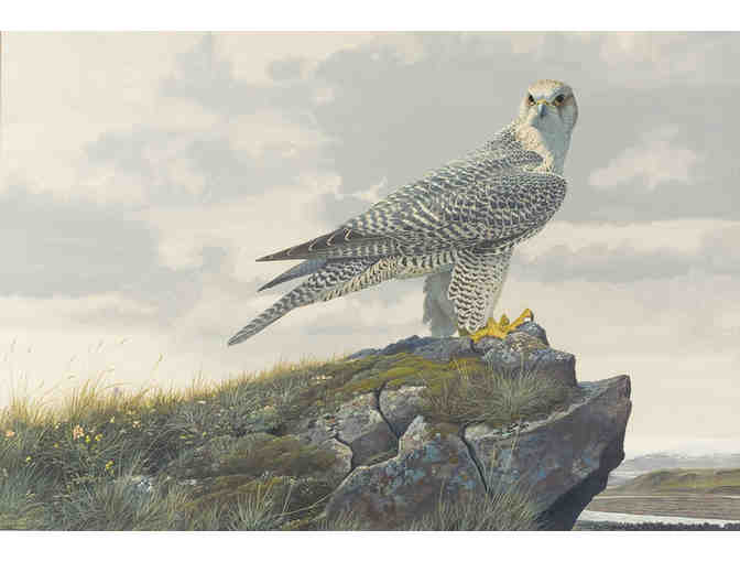 Behind the Scenes with Mass Audubon's Art Collection