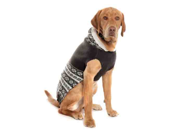 Large  Fair Isle Dog Sweater/Treats