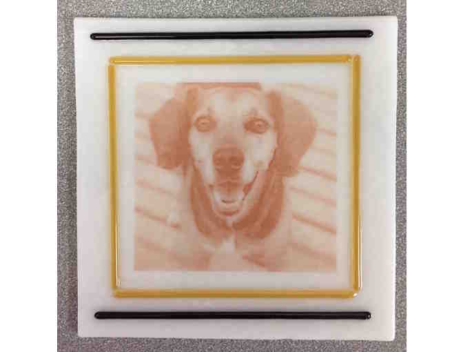 Custom Glass 'Portrait'  - 6' x 6' Square