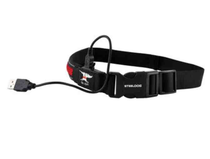 USB Rechargeable LED Dog Collar Fits 12' - 16'