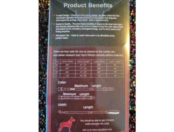 Azuza Collar and Leash set