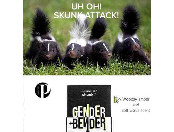 De-Stink Your Home, Body, Pets!