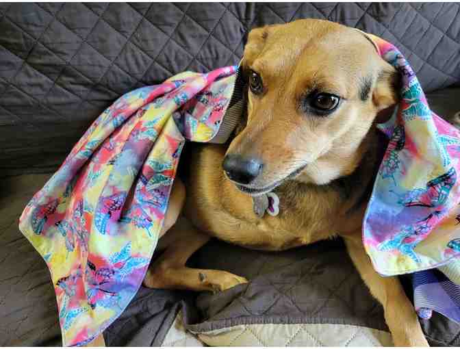 Handcrafted Lap Blanket - Butterflies/Plaid