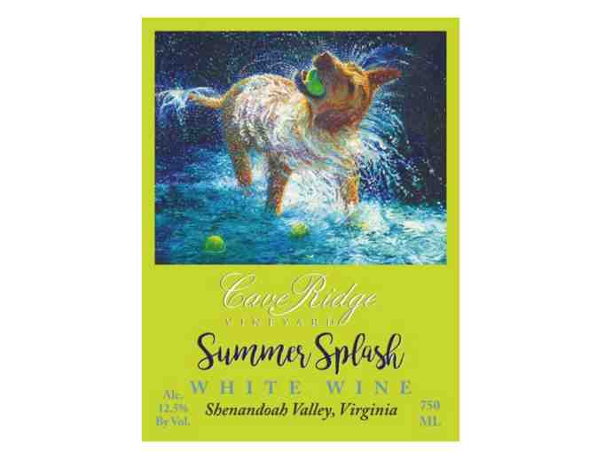 Gold Edition Artist Proof 'The Juggler' Hand Signed Iris Scott Painting and Summer Splash