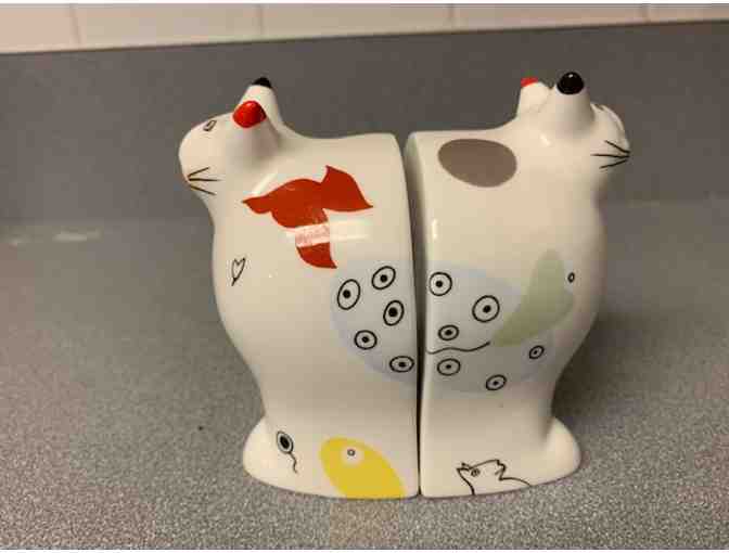 Vintage Villeroy and Boch Salt and Pepper set