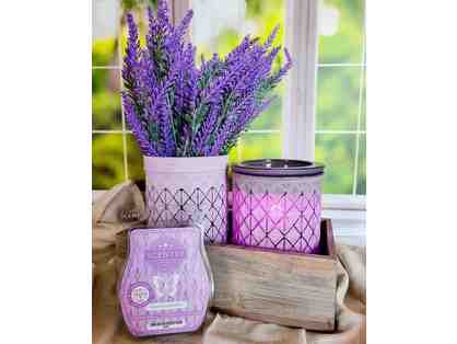 Scentsy Lavender Fields and Provence Lavender