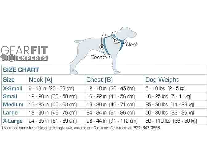 Kurgo Auto and Walking Harness Medium - Photo 3