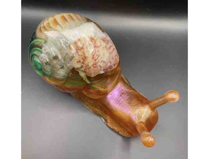Resin Snail with Shells inside