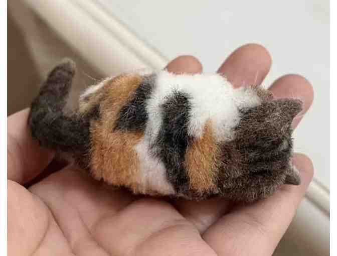 Cat Needle Felting Kit for Beginners