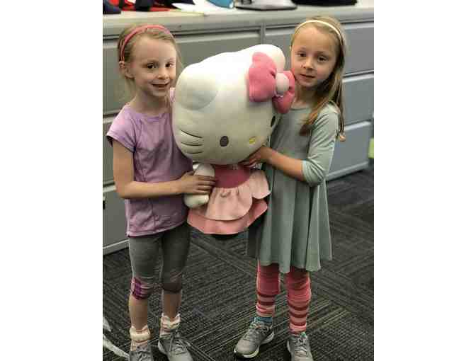 Hello Kitty Huggable Pillow Package