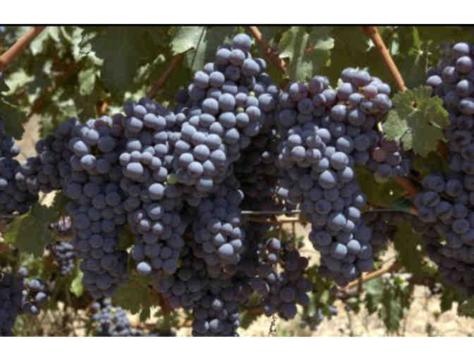 Cooper-Garrod Tour and Tasting for Ten