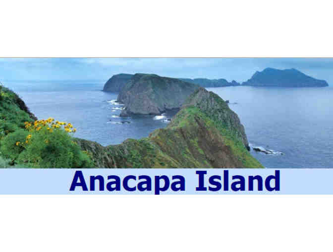 Island Packers Cruises