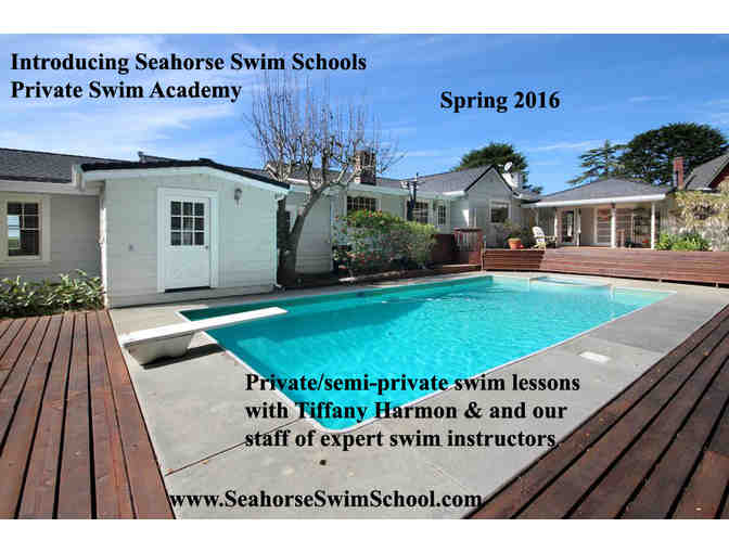 Seahorse Swim School - (1) 1/2 hour lesson - Private or semi private