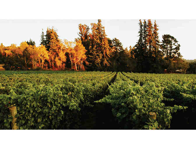 Lester Estate Wines - 2 Bottles & Tasting