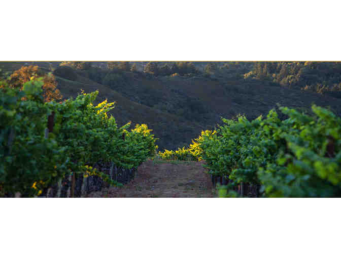 Savannah Chanelle Vineyards Private Tour & Wine Tasting for 8