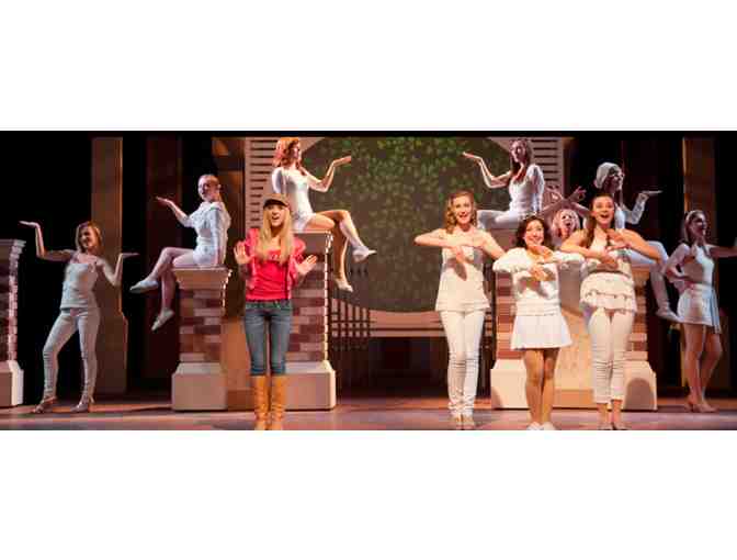 Children's Musical Theater San Jose 2 tickets