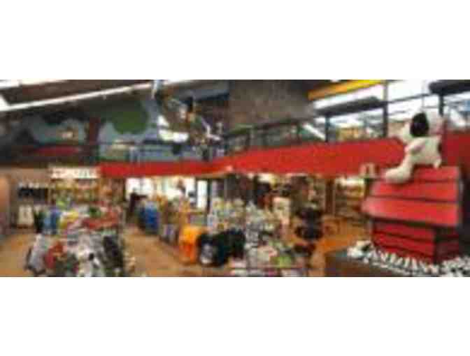 Snoopy's Home Ice (4) Skating Passes