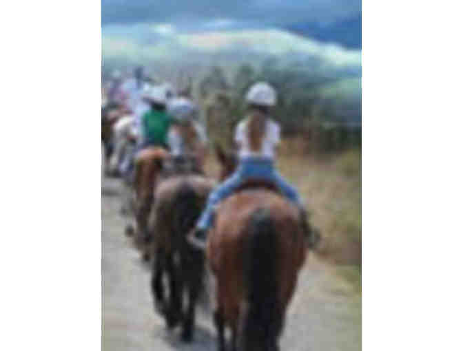 Webb Ranch 4 Person Trail Ride